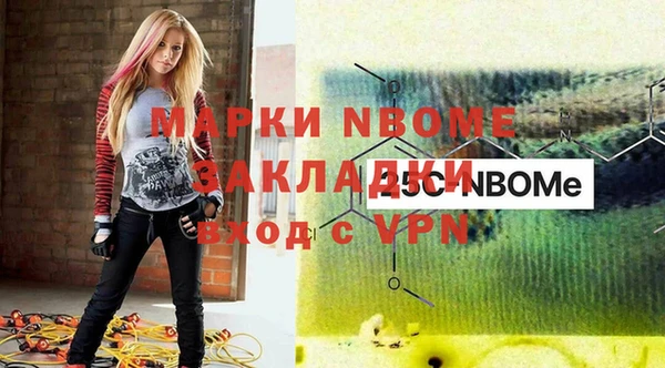винт Ельня