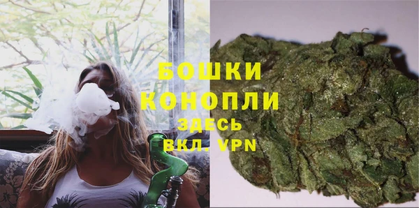 винт Ельня