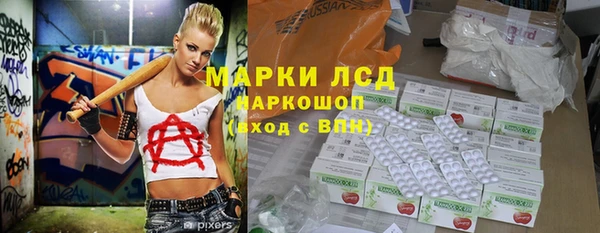 винт Ельня