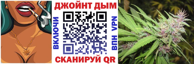 Канабис сатива  где купить наркоту  Светлый 